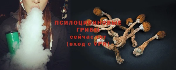 крисы Балахна