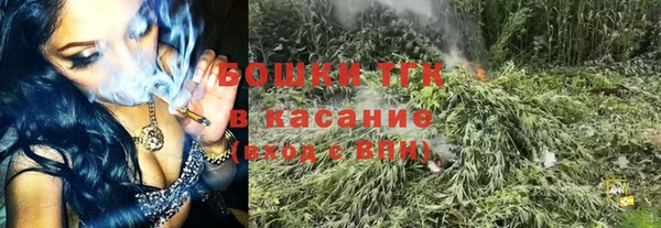 крисы Балахна